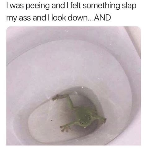 *slaps ass : r/frog_memes