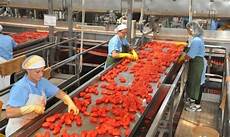 lavoro alimentare italtom lavora con noi 100 posti disponibili nello lavoro alimentare italtom lavora con noi 100 posti disponibili nello
