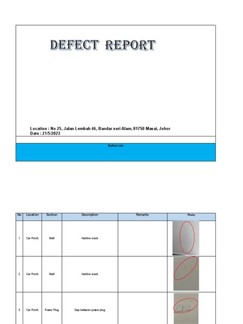 How to Report Defects 的图像结果