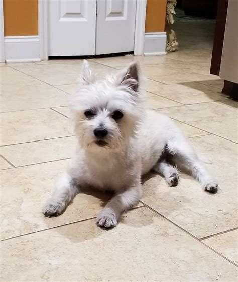 Waterford Lakes Animal Hospital - 5007, 11951 Lake Underhill Rd ...