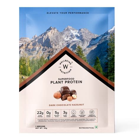 Buy Wellbeing Nutrition Superfood Plant Protein Isolate Dark Chocolate ...