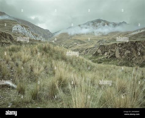 Landscape in the Andean highlands, Curipata, Peru Stock Photo - Alamy