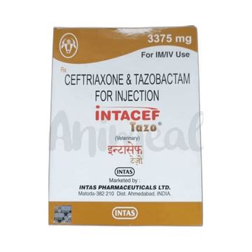 AnimealIntas Injectable For Small Animals - Upto 15% Off ...