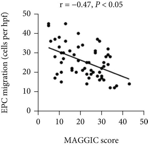 Image result for Python Maggic Function