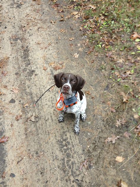 Ducks Unlimited Jobs and Internships