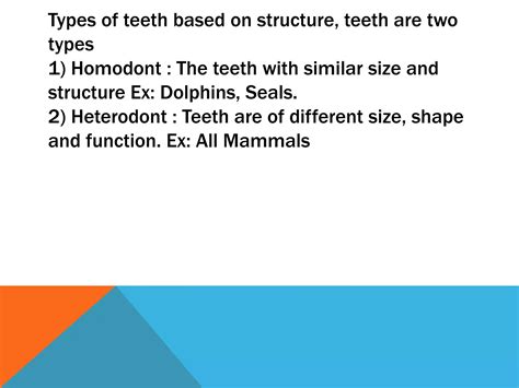 Are Sharks Truly Homodont Or Heterodont Explaining Tooth Types Across Species