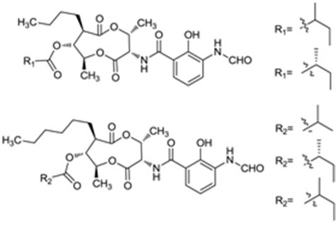 Natural Products from Mangrove Actinomycetes