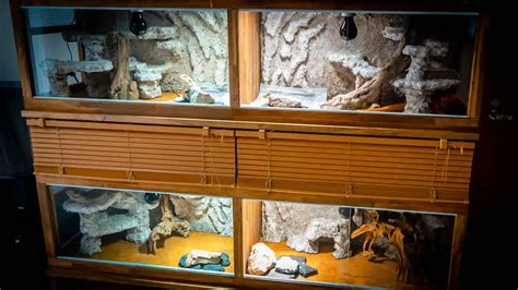 爬虫類 レイアウト用品セット売り 国内即発送 - レイアウト用品