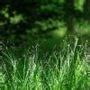 What happens to the value of the expression 80/h as h increases from a ...
