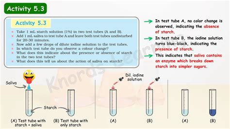 Image result for Life Process Class 5 Kind Story