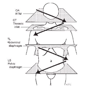 Image result for Common Compensatory Pattern