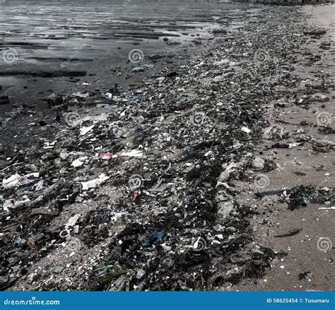 在海滩的垃圾 库存照片. 图片 包括有 含毒物, 污秽, 海岸, 废弃物, 环境, 风暴, 塑料, 生态 - 58625454