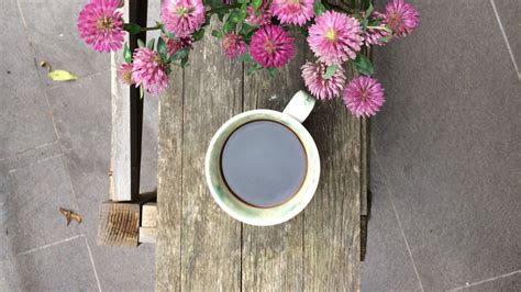 Wallpaper coffee, cup, clover, flowers, bouquet hd, picture, image