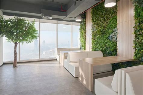 Biophilic Design in Office Fit Outs: Bringing Nature inside