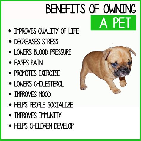 Benefits of Keeping Pets - Bradley-has-Zhang