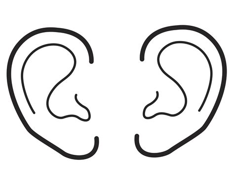 An illustration of two ears. | Ear picture, Coloring pages, Ear art