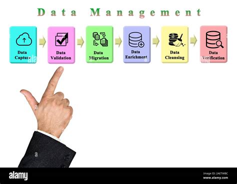 Data Management Development Process 的图像结果
