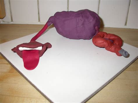 How to Make Poop Clay Model 的图像结果