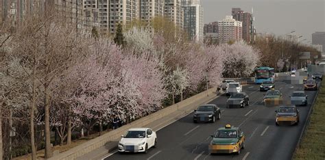 【初春的北京摄影图片】风光摄影_太平洋电脑网摄影部落