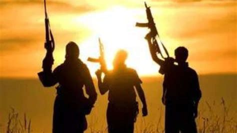 Terror group planned India hits, backed Myanmar rebels: Probe
