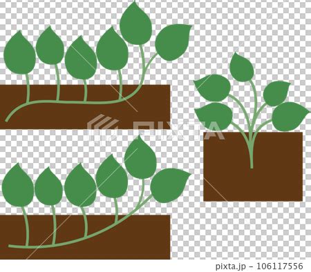 Image result for Script Example Intro