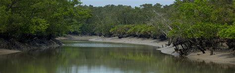 West Bengal Holiday Packages