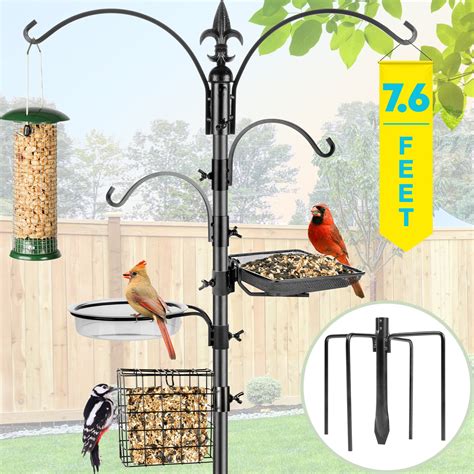 Bird Cage Feeding Station at Ann Luongo blog