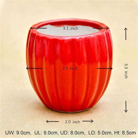 Buy Ceramic Planters online from Nurserylive at lowest price.
