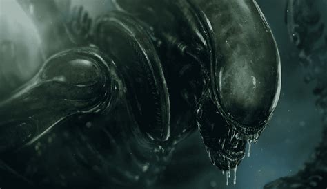 Image result for Alien 5 Movie Release Date