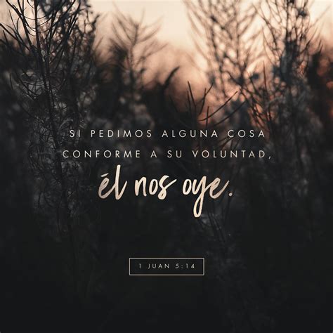 1 Juan 5:14 Y esta es la confianza que tenemos en él, que si pedimos ...