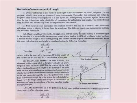 Image result for Proper Way to Measure the Height of a Tree Using a Tree Scale Stick