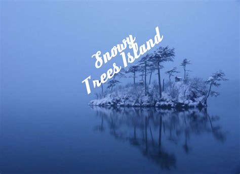 The ‘Jacarandas’ with their blossoming violet flowers on the street of ...