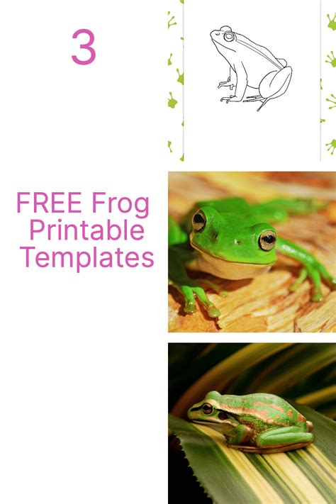 Image result for Frog Patterns Printable