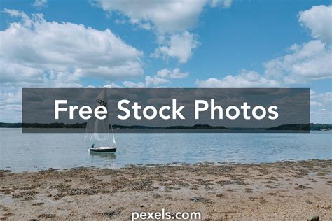 Nature Beach Swimming 的图像结果