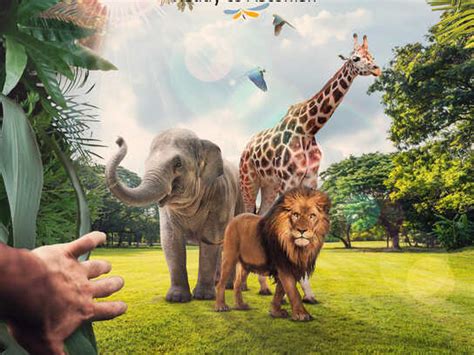 Image result for CBeebies Safari Promo