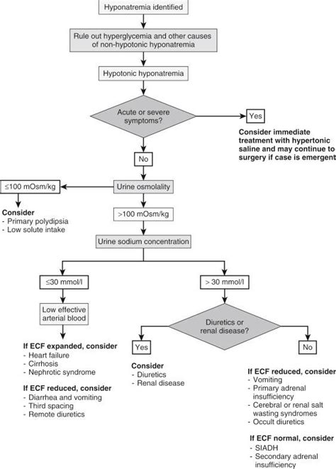 Hypernatremia Algorithm 的图像结果