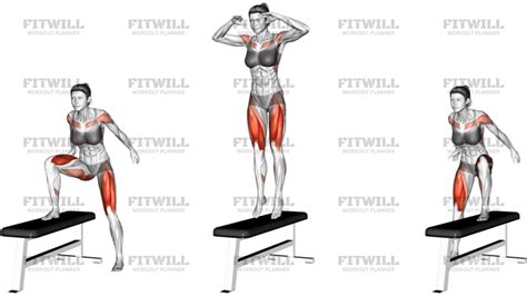 Image result for Side Step-Up Exercise