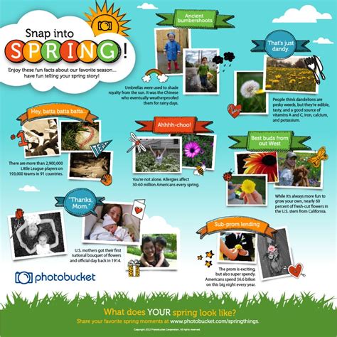 Facts About Spring Preschool at Dale Mack blog