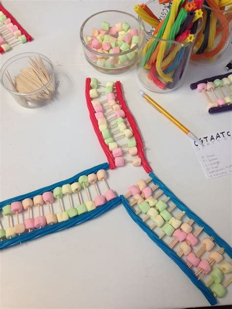 Image result for DNA Replication Lab