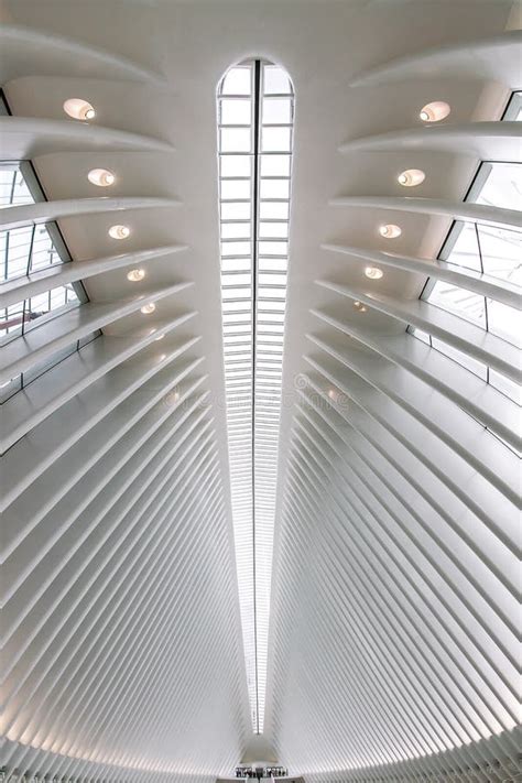 Image result for Oculus Ceiling