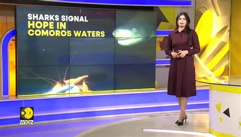 Hidden reefs thrive in Indian Ocean