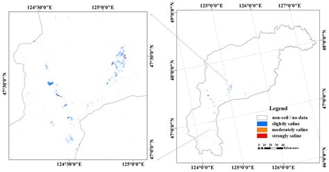 Remote Sensing of Soil Alkalinity and Salinity in the Wuyu’er ...