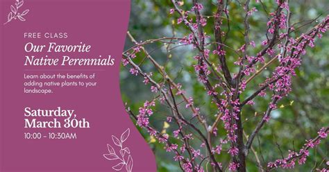 Free Class: Our Favorite Native Perennials, 1014 Sea Girt Ave, Sea Girt ...