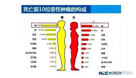 最新统计：中国癌症人数全球第一！乳腺癌飙升！_病例