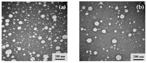 Optimization of Production Parameters for Andrographolide-Loaded ...
