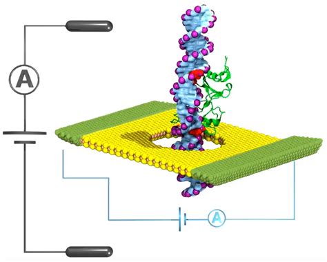 Chitkara University | Interdisciplinary | Research and Innovation