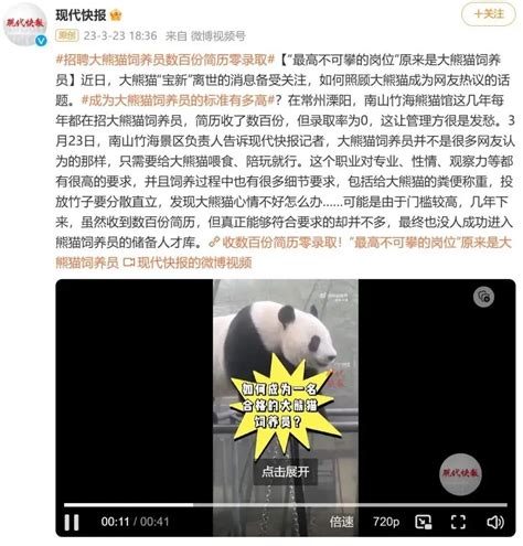 熊猫饲养员招聘，收到数百份简历却零录取…… | Redian News