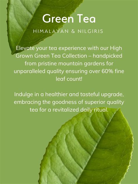 Green Teas Collection - Finest Green Tea - Iron Kettle