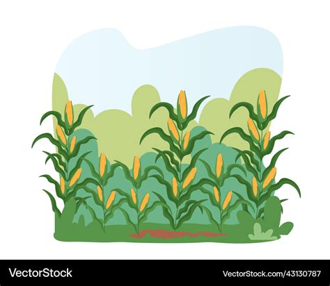 Corn Field Vector 的图像结果