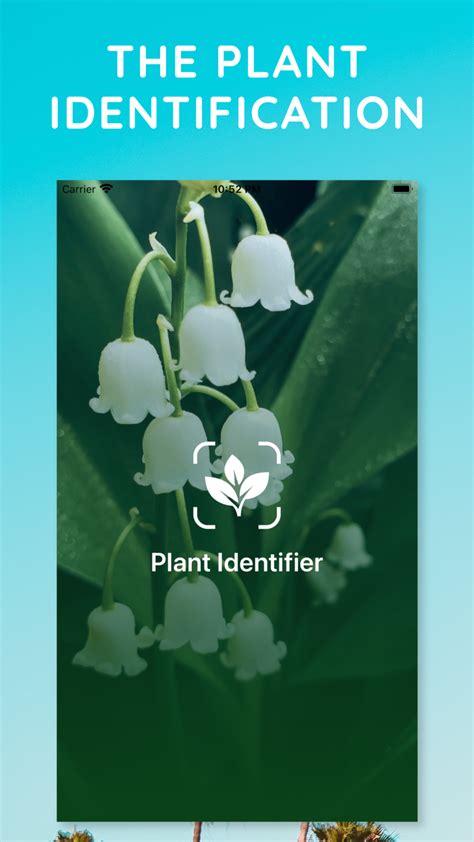 Edible Plant Identification App 的图像结果